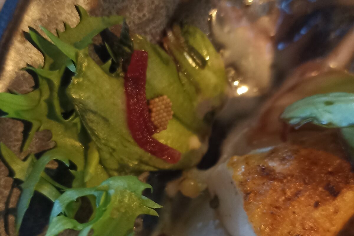 Jaja robaka na sałacie w sałatce zamówionej w restauracji Brejdak Burger