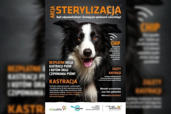 Plakat Akcja sterylizacja, bezpłatna sterylizacja w Lublinie