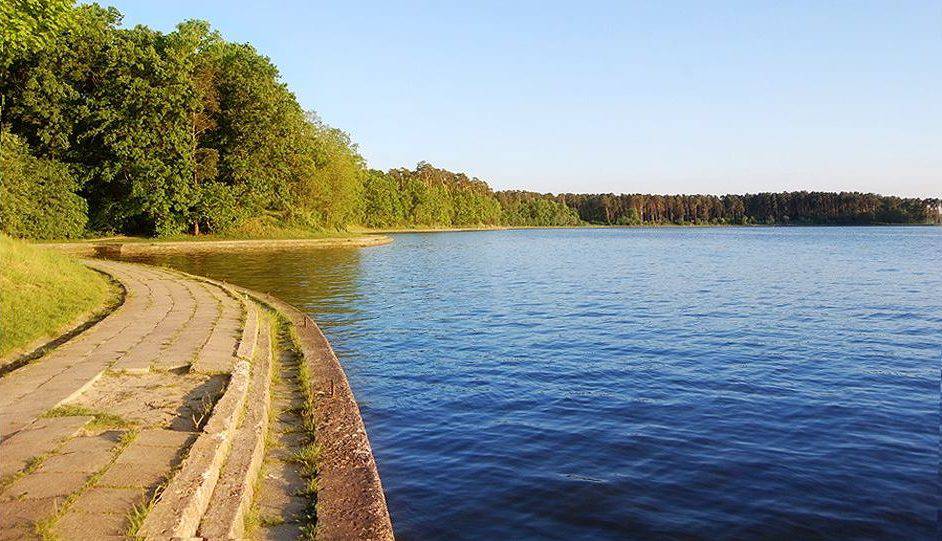 Sinice w Zalewie Zemborzyckim. Sanepid zakazał kąpieli w zbiorniku - Spotted Lublin - najnowsze wiadomości z Lublina