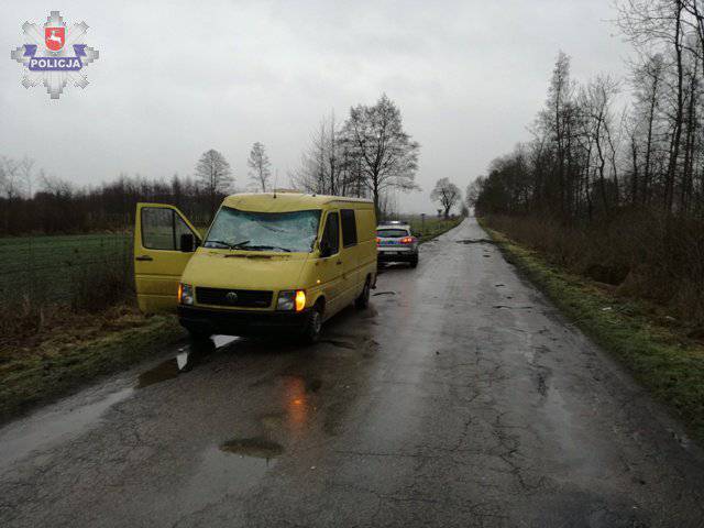 Wiatr powalił drzewo na jadącego busa - Spotted Lublin - najnowsze wiadomości z Lublina