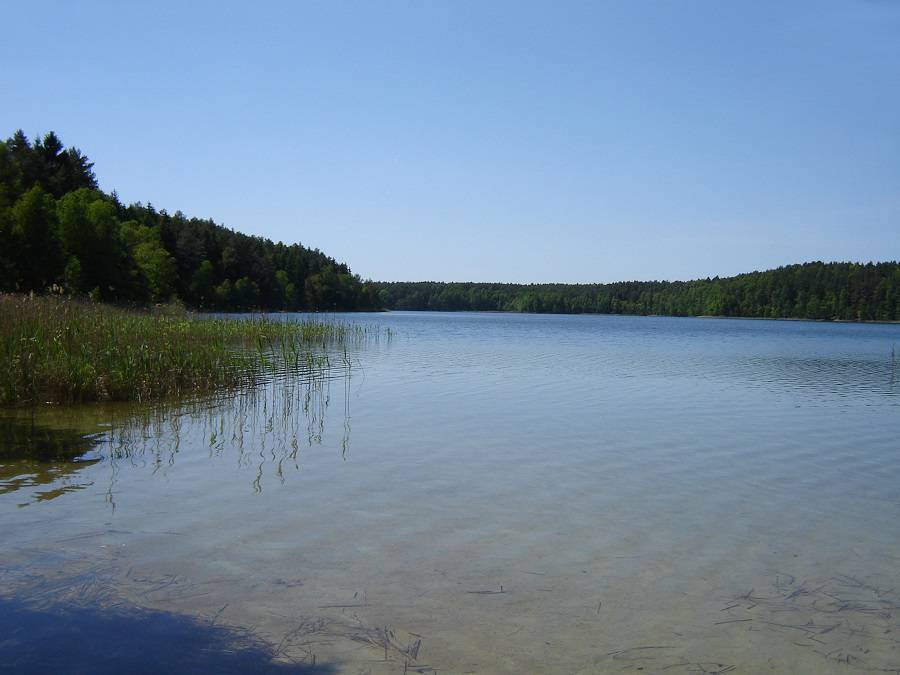 Jezioro Piaseczno Gmina Osie 1