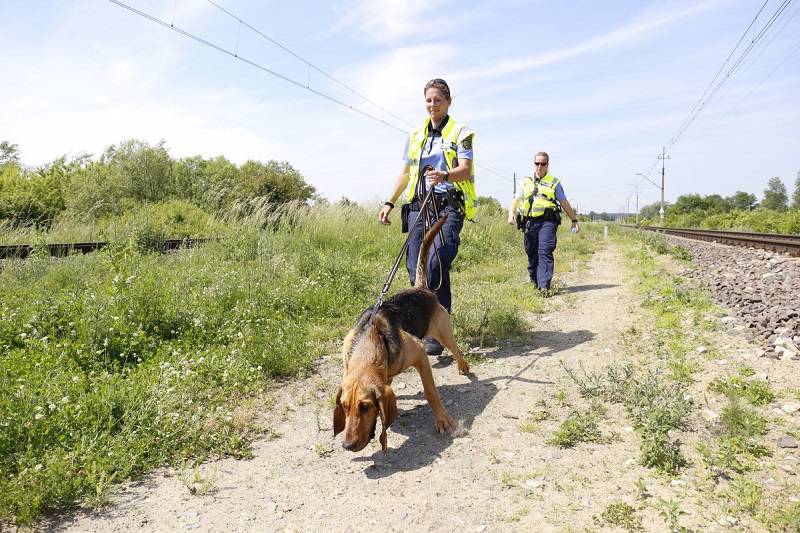 Psy tropiące z Niemiec szukają zabójcy 38-latki z Trawnik. Są w stanie podjąć trop po kilku miesiącach