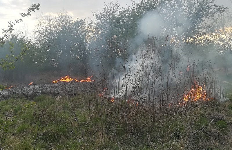 strażacy pożar traw - Spotted Lublin - najnowsze wiadomości z Lublina
