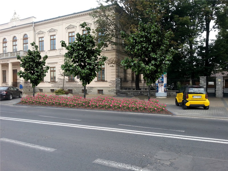 krakowskie przedmieście drzewa kwiaty miejsce parkingowe 1