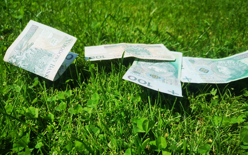 pieniądze banknoty trawa