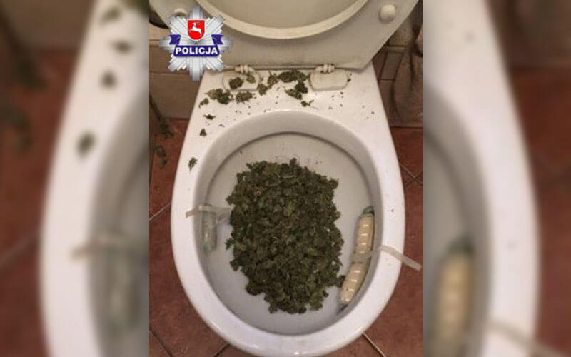 narkotyki marihuana toaleta