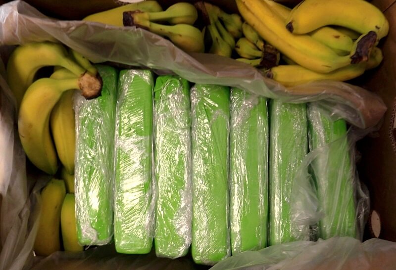 160 kg kokainy w bananach sprzedanych do znanej sieci sklepów