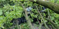 Samochód uszkodzony przez powalone drzewo na ul. Agatowej