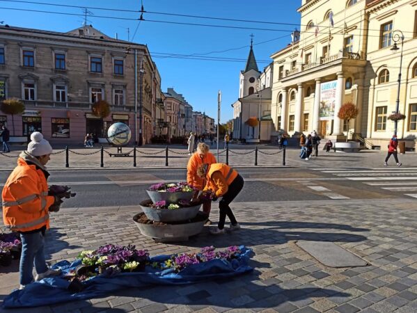 Jesienna wymiana kwiatów w donicach w centrum Lublina