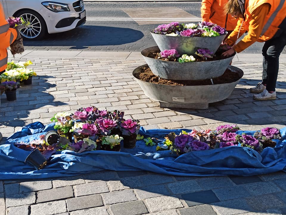Jesienna wymiana kwiatów w donicach przed Bramą Krakowską