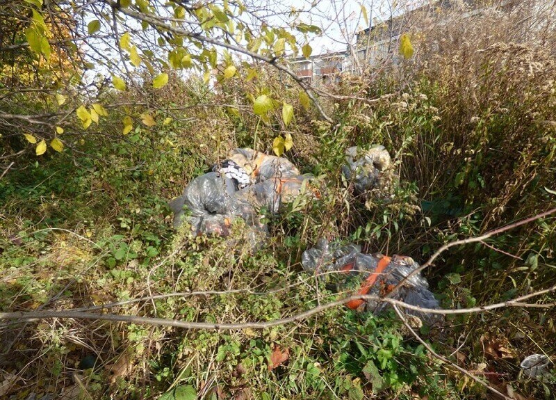 Porzucone śmieci w krzakach przy ul. Willowej