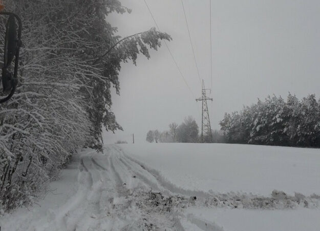 Odbiorcy bez prądu, drzewa łamały się pod naporem śniegu