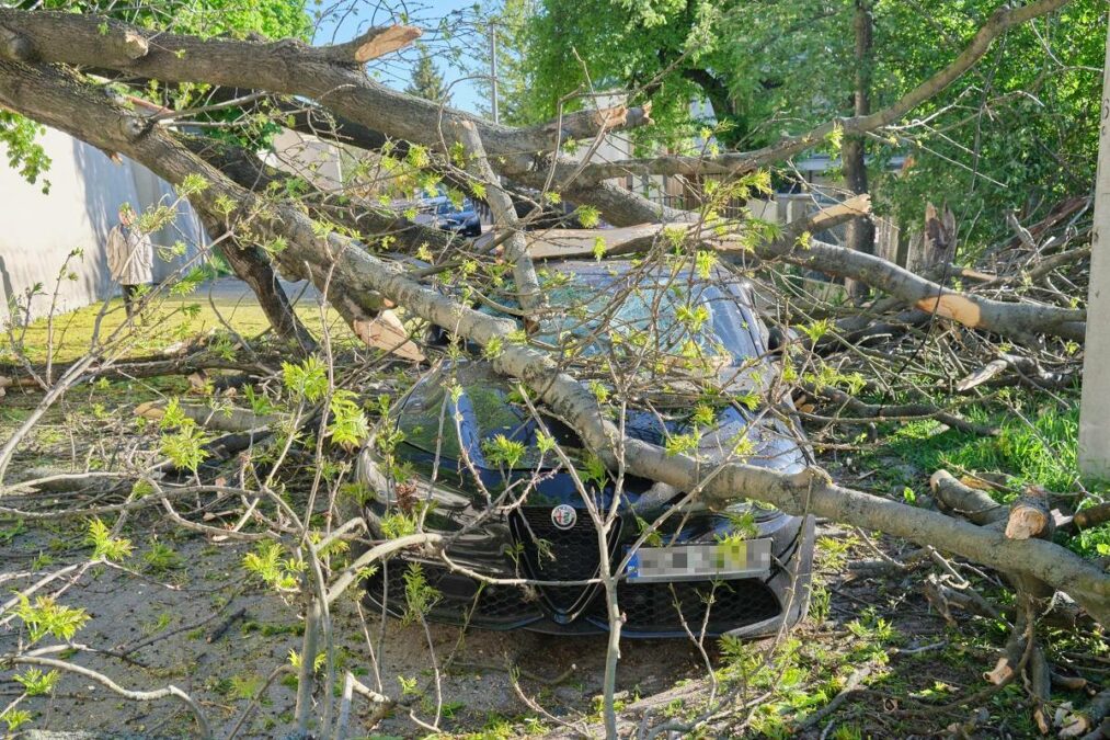 Powalone drzewo spadło na samochód na ul. Misjonarskiej