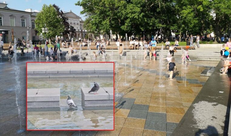 Kąpiel w fontannie na placu Litewskim