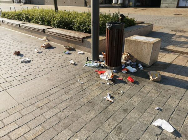 Kruk wyrzucający śmieci z kosza na placu Litewskim
