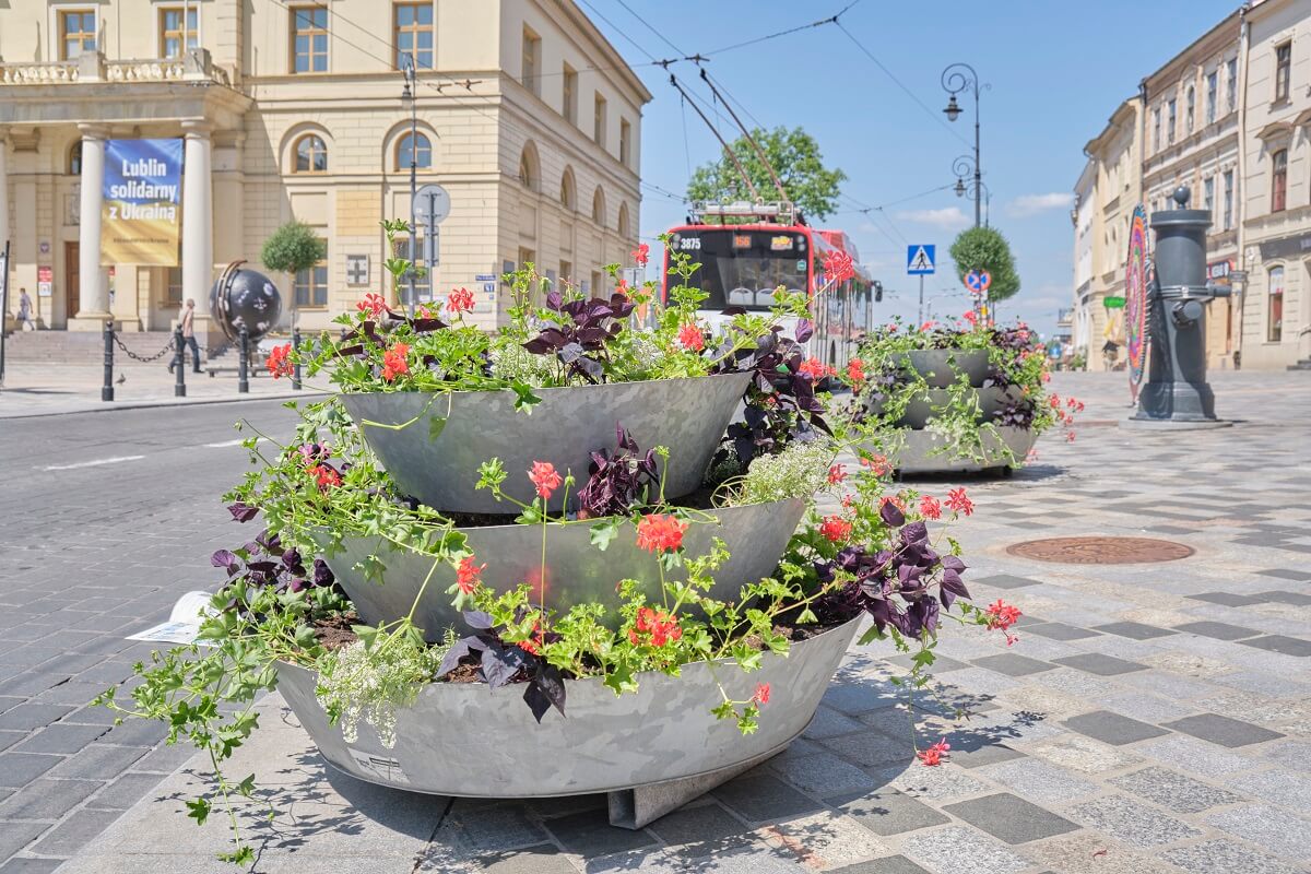 Nowe kwiaty w donicach w centrum Lublina