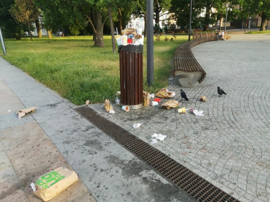 kawki grzebiace w smieciach na placu litewskim