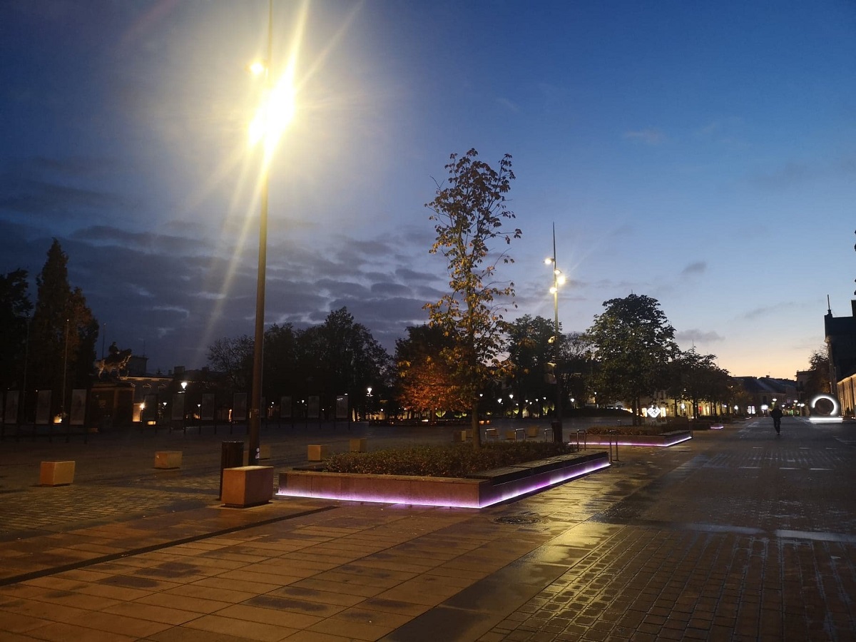 Oświetlenie drzew na Placu Litewskim