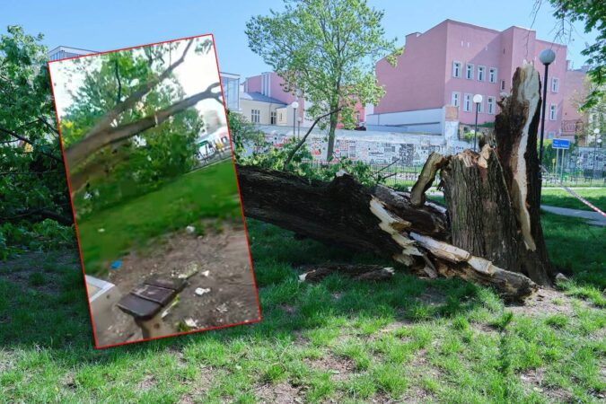 Drzewo spadło na plac zabaw w centrum Lublina