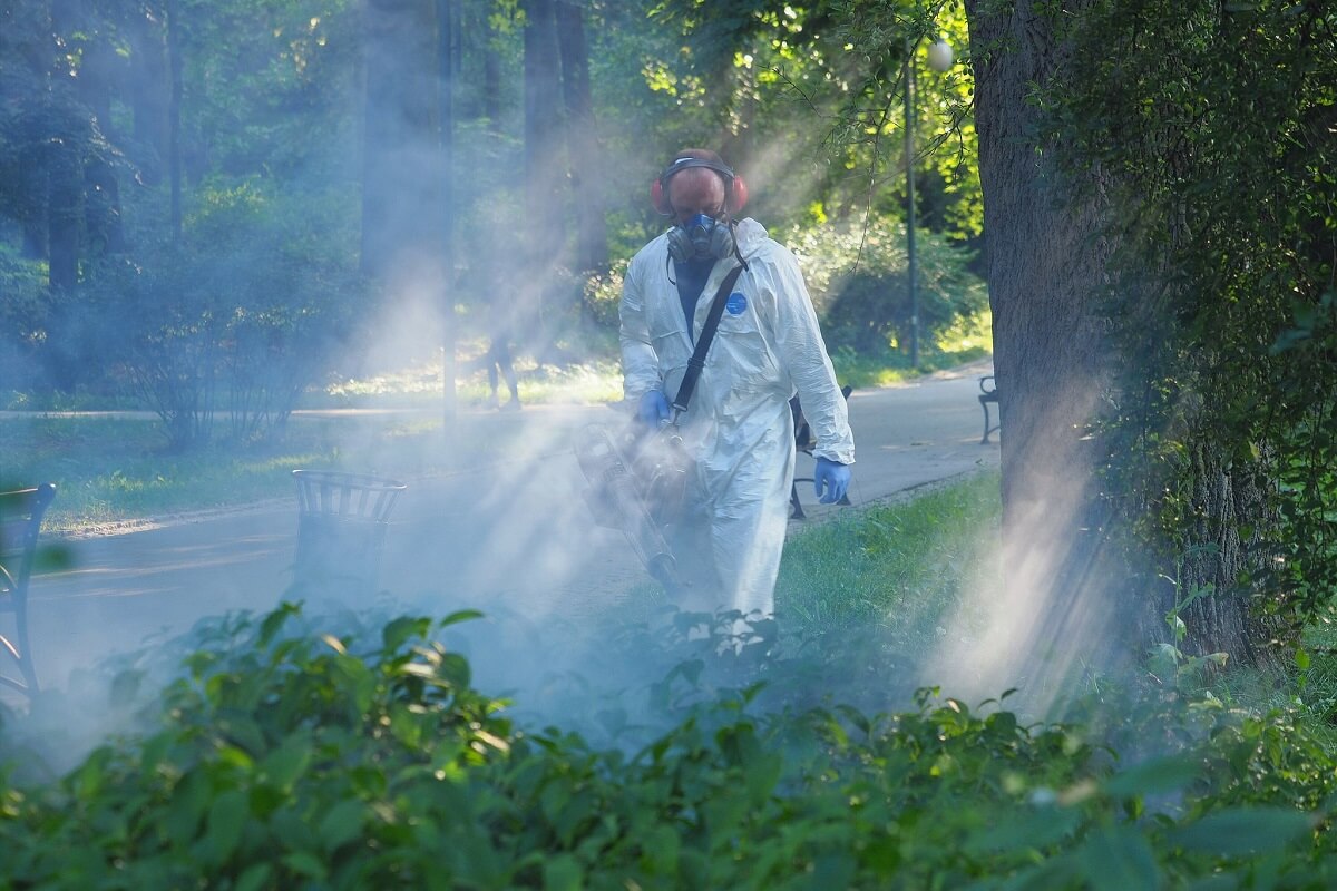 Plaga komarów w Lublinie. Rusza pierwsze w tym roku odkomarzanie. Gdzie i kiedy opryski? Harmonogram