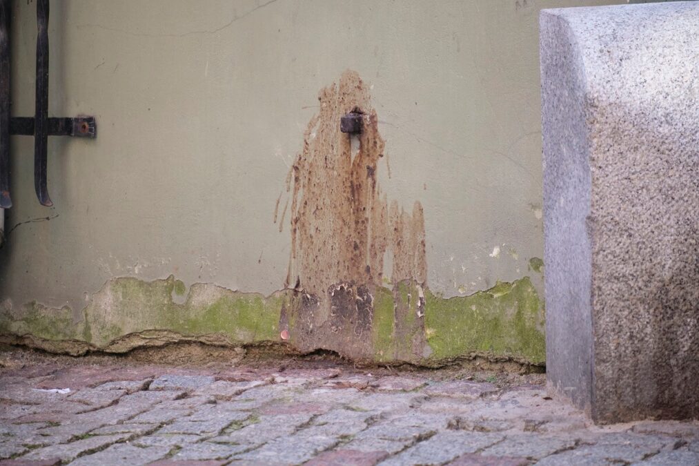 Ściana kamienicy przy ul. prezydenta Gruella zanieczyszczona odchodami
