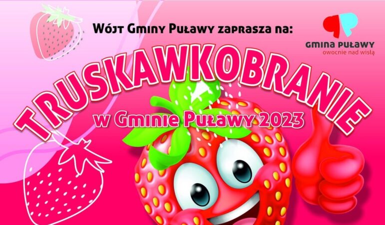 Truskawkobranie w Gminie Puławy 2023 - Góra Puławska