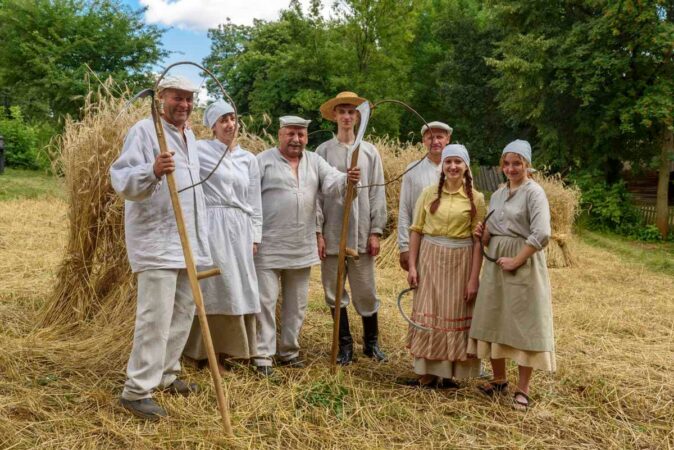 Żniwowanie w Skansenie w Lublinie