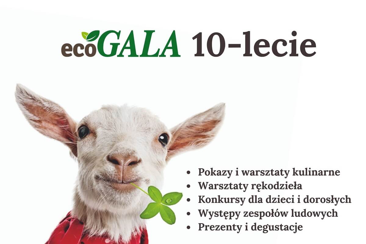 Plakat Eco-Gala