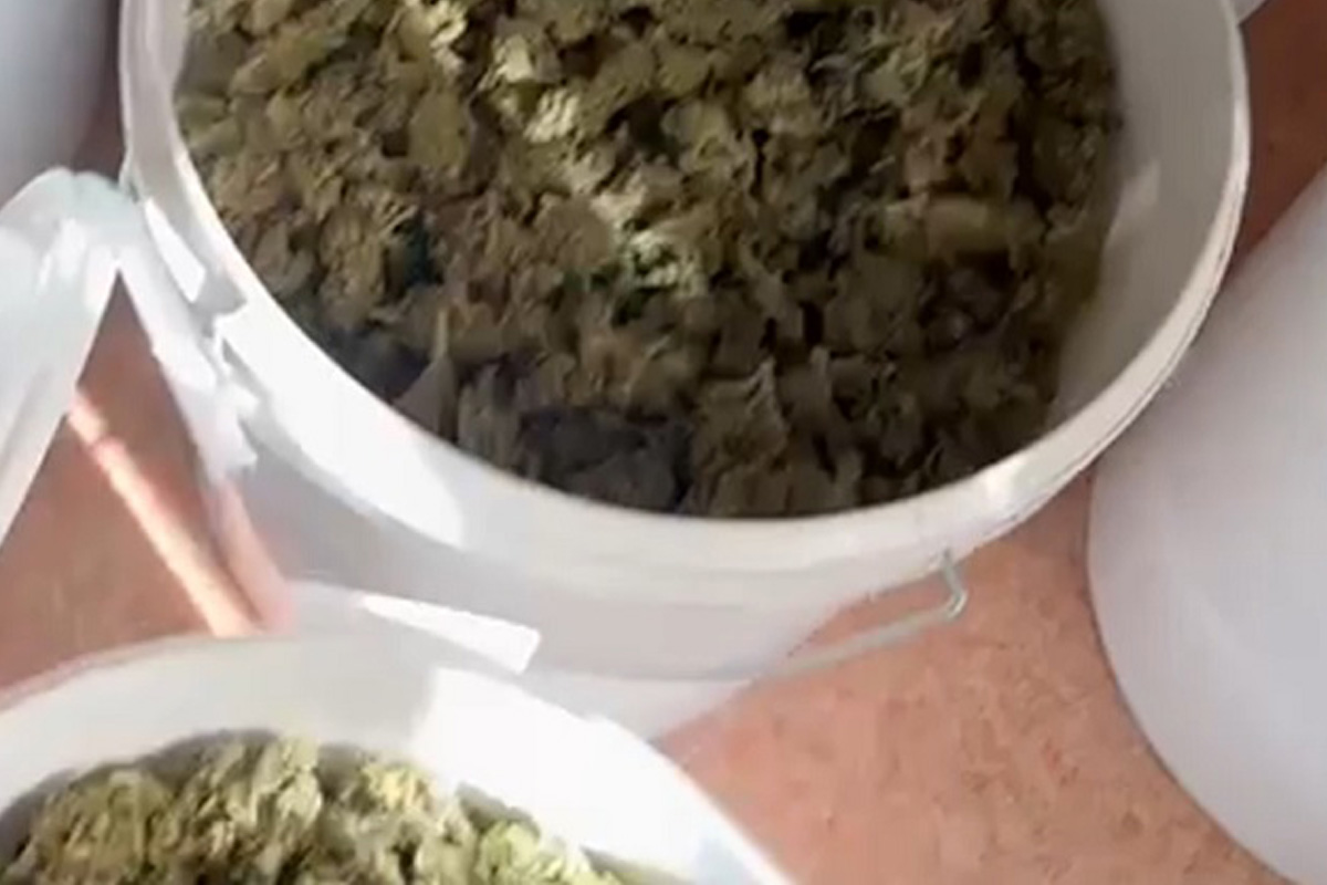 14 kg marihuany Puławach