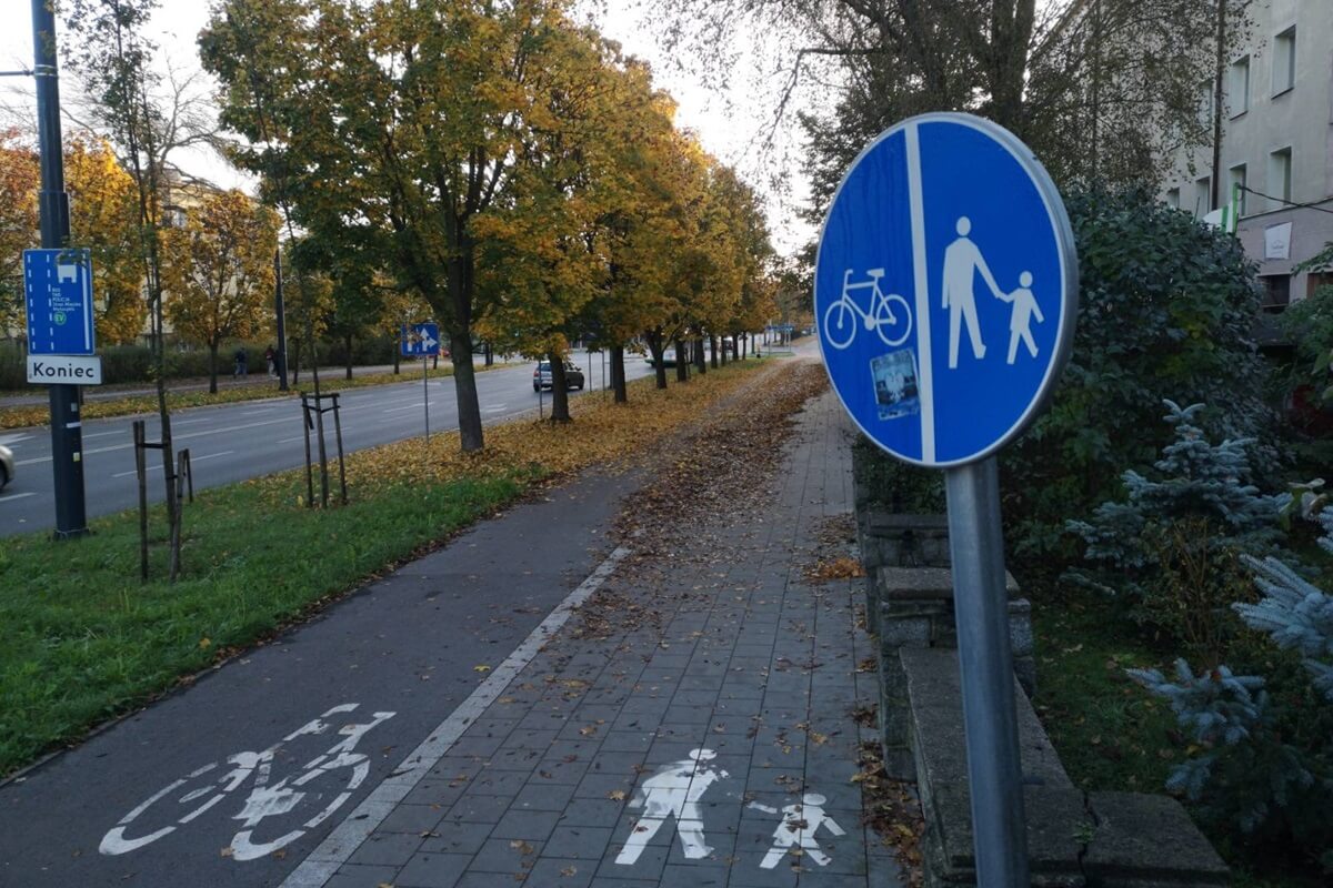 Zalegające liście na chodniku i ścieżce rowerowej