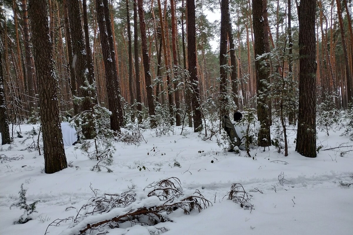 las, śnieg, strzelec, kamuflarz