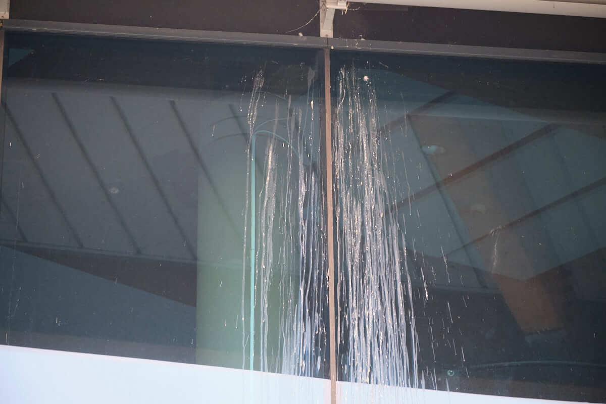 Paskudny problem miejskiej pływalni. Gołębie zanieczyściły szklaną fasadę budynku [ZDJĘCIA]
