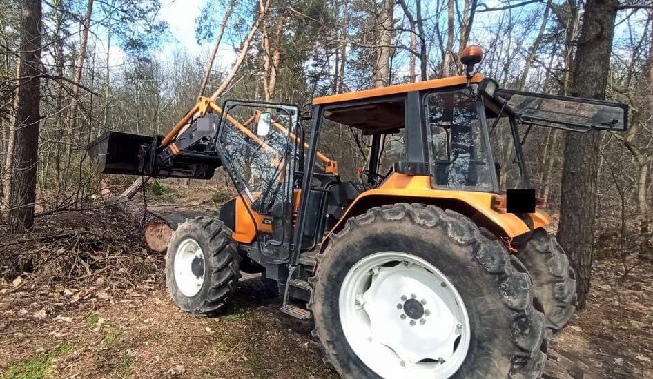 Wypadek w lesie ze skutkiem śmiertelnym