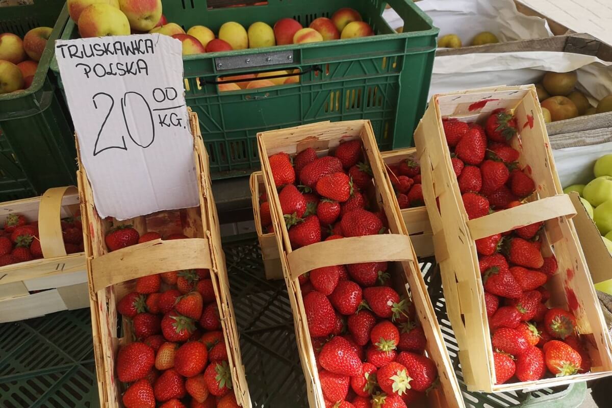 Na targowiskach w Lublinie pojawiły się pierwsze krajowe truskawki. Ile trzeba zapłacić za kilogram truskawek? 1 Polskie truskawki po 20 zł za kilogram na targowisku w Lublinie