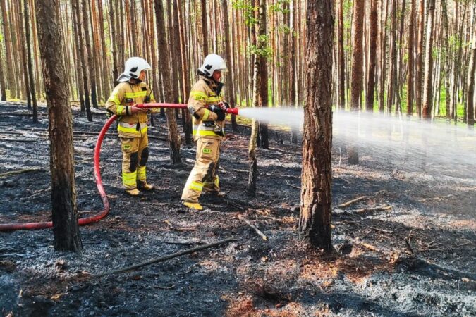 Strażacy gaszą pożar lasu na terenie powiatu janowskiego