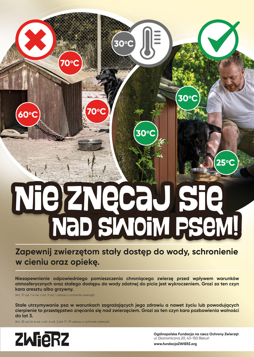 Plakat Akcja Lato