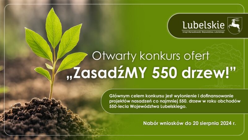 grafika Otwarty konkurs ofert „ZasadźMy 550 drzew!”