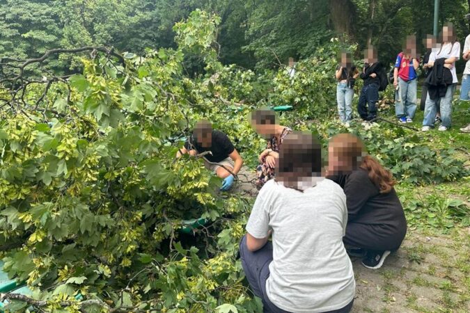 Konar drzewa spadł na ludzi w Ogrodzie Saskim