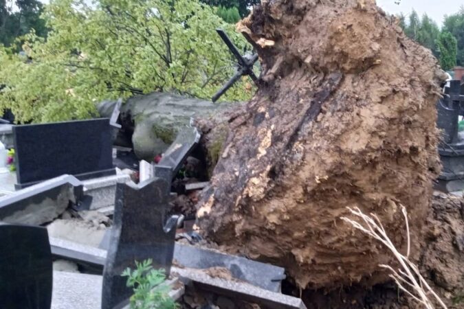Przewrócone drzewo uszkodziło nagrobki na cmentarzu w Wilkołazie