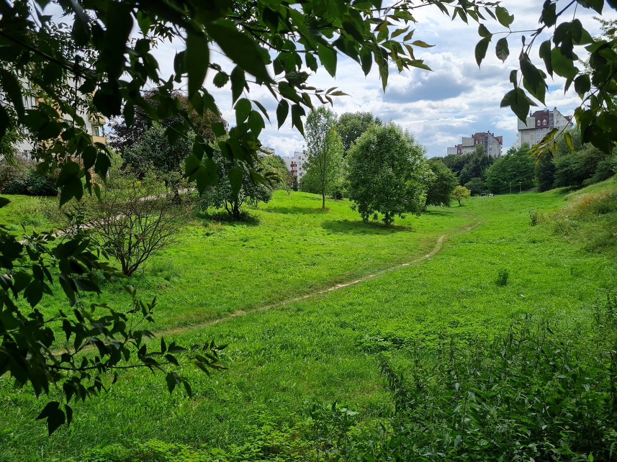 Zielona polana w mieście