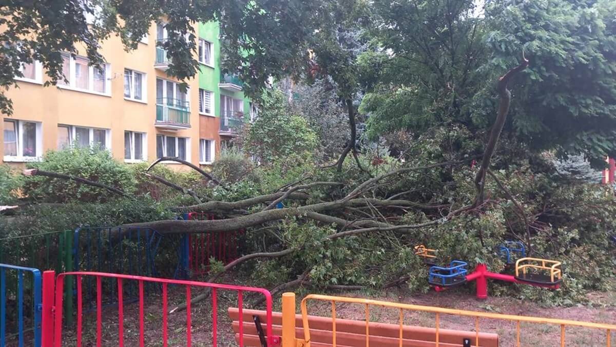 Drzewo przewróciło się na plac zabaw przy ul. Niepodległości