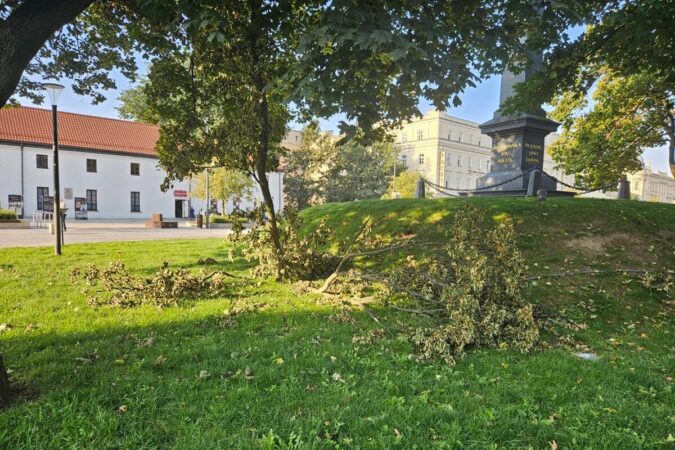 Połamane gałęzie przez burze na Placu Litewskim