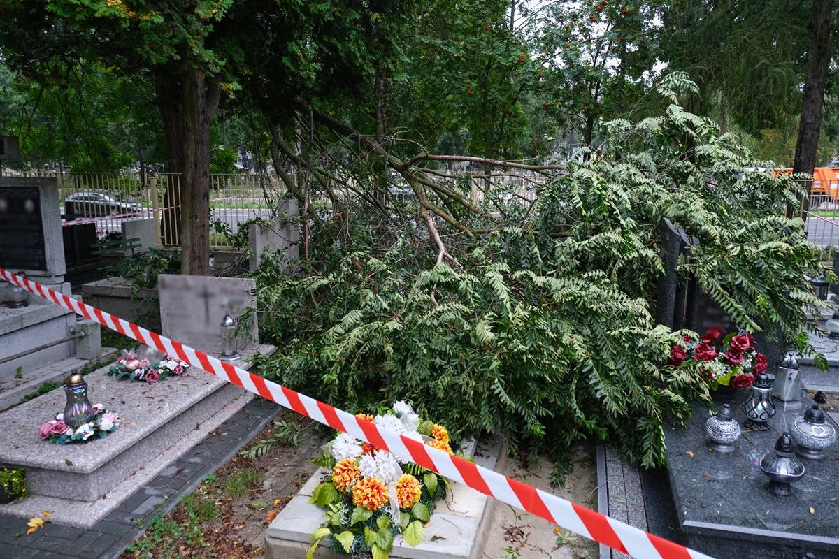 Konar uszkodził pomniki na cmentarzu przy ul. Unickiej w Lublinie