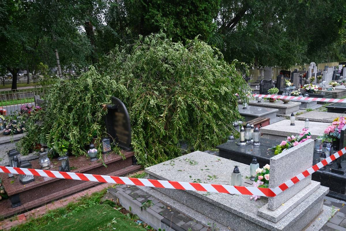 Konar uszkodził pomniki na cmentarzu przy ul. Unickiej w Lublinie