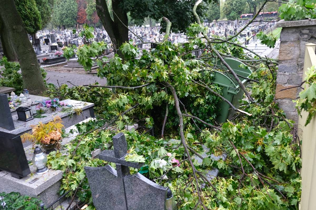 Konar uszkodził pomniki na cmentarzu przy ul. Unickiej w Lublinie