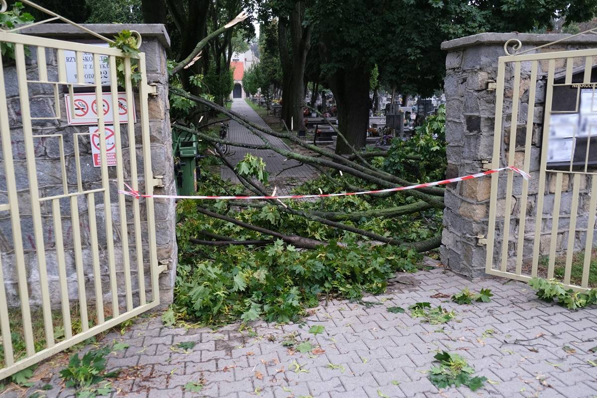 Konar uszkodził pomniki na cmentarzu przy ul. Unickiej w Lublinie