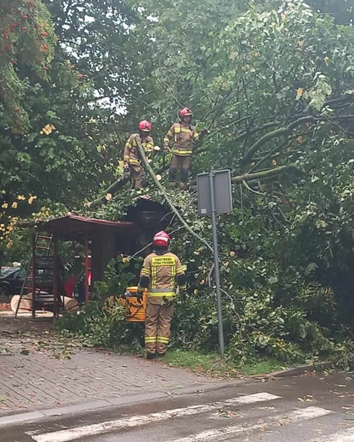 Strażacy usuwający drzewo, które przewróciło się na budynek przy ul. Niepodległości