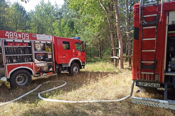 Wozy strażackie gaszące pożar w Emilcinie