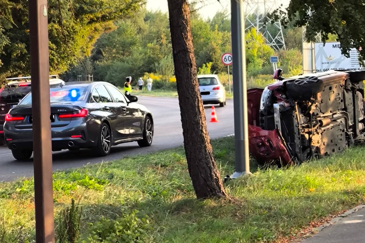 Citroen uderzył w drzewo i przewrócił się na bok na ul. Zemborzyckiej