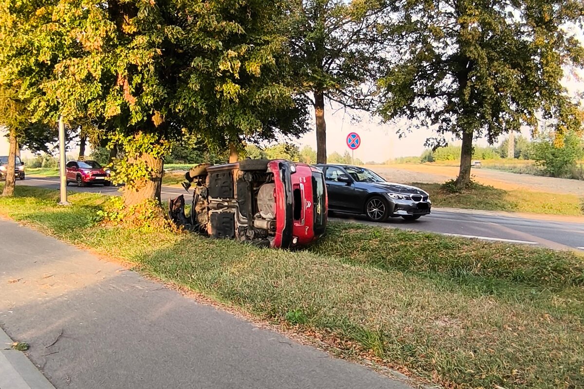 Citroen wypadł z jezdni, uderzył w drzewo i przewrócił się na bok. Kierująca pojazdem trafiła do szpitala